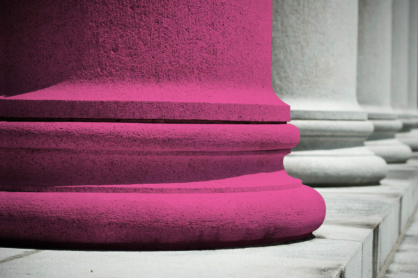 Public Law and Judicial Review