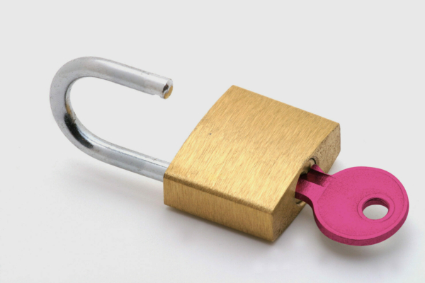 Public/Direct Access