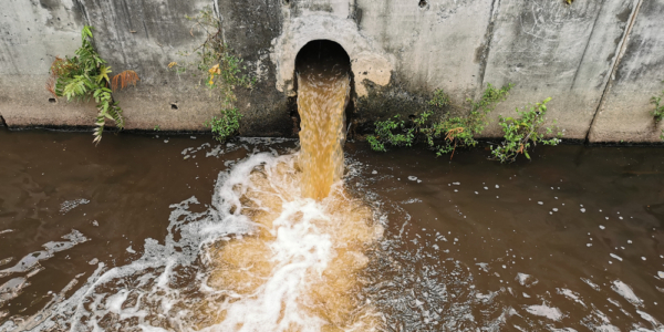 Insights from the Office of Environmental Protection’s First Decision Notices