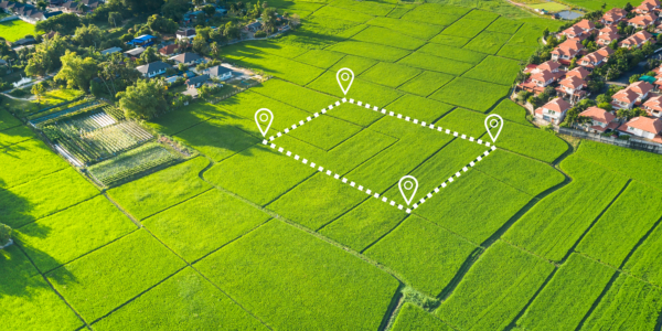 Compulsory Purchase Order (CPO) Law and Practice: A View From The Front Line