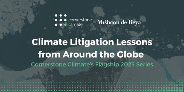 Climate Litigation Lessons from Ireland