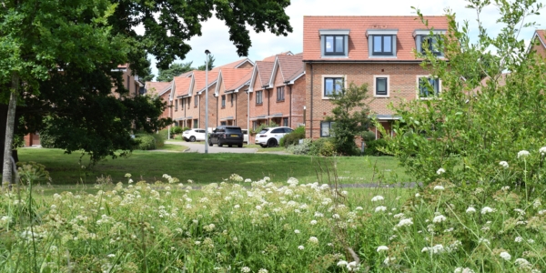 When does the requirement to provide 10% BNG bite?